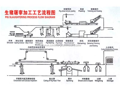 多宝平台（中国）官方网站